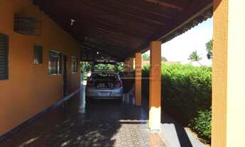 Imagem 6: Santo Antônio do Aracanguá - Fazenda/Sítio - Macaúba