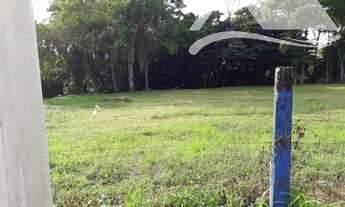 Imagem 2: Terreno ,plano, Ilhabela, Reino, sem árvores, limpo, cercado, com 600m², perto de toda in