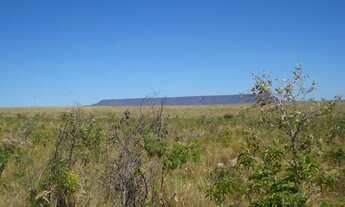 Imagem 4: Terreno no bairro Zona Rural