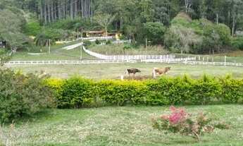 Imagem: Belo Sítio em Osório RS