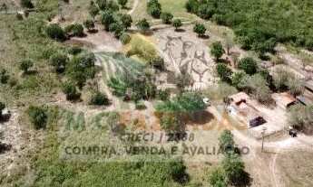 Imagem 6: Fazenda em Jeremoabo