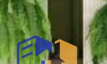 Imagem 6: Casa no Conjunto Feira 7 ( Tomba