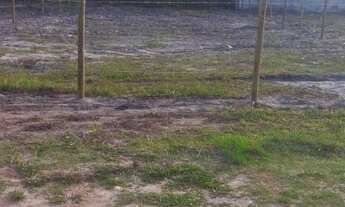 Imagem 6: Excelente terreno ilha de vera cruz 200m2