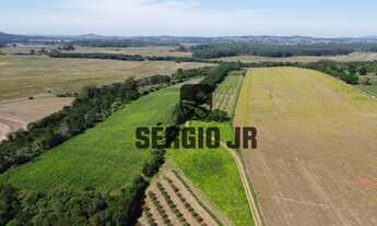 Imagem 4: Sítio com 7,5h, casa, galpão, açudes em Guaíba - Aceito troca por casa na praia