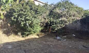 Imagem 7: Casa para venda possui 70 metros quadrados com 2 quartos em Rio Branco - Belo Horizonte