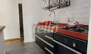 Imagem 7: São Paulo - Apartamento Padrão - Brás