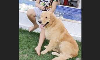 Imagem 5: 5/4 temporada Condomínio fechado