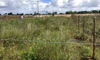 Imagem 4: Terreno para Vender Pov. Aldeia 3km do Haras Residênce