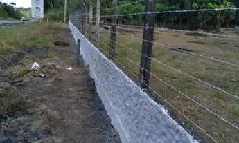 Imagem 3: Area 8000m2 BR 324 (Amélia Rodrigues