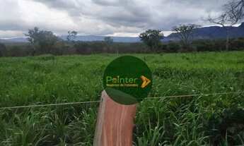 Imagem 3: Fazenda à venda, 522 hectares por R$ 10.800.000 - Zona Rural - Niquelândia/GO