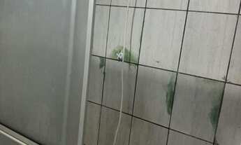 Imagem: Alugo casa em Biguaçu