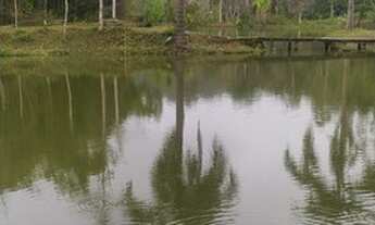 Imagem 7: Chácara sitio Chácara com venda por R$1