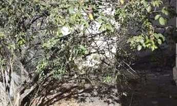 Imagem 4: Casa para venda possui 70 metros quadrados com 2 quartos em Rio Branco - Belo Horizonte