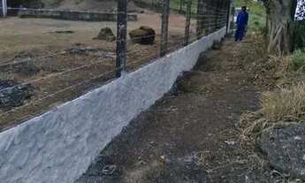 Imagem 6: Area 8000m2 BR 324 (Amélia Rodrigues