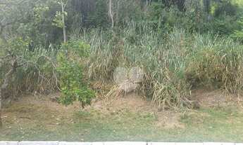 Imagem 7: Terreno à venda, 2000 m² por R$ 595.000,00 - Anil - Rio de Janeiro/RJ