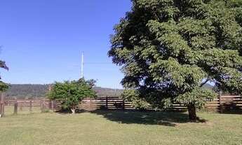 Imagem 6: Sítio com 2 dormitórios à venda, 10000 m² por R$ 380.000,00 - Lami - Porto Alegre/RS