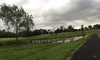 Imagem 3: Belo Sítio em Osório RS