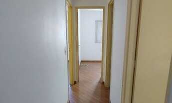 Imagem 7: SAO PAULO - Padrão - Sao Joao Climaco