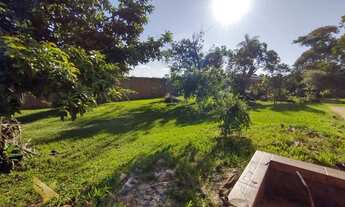 Imagem 3: Um recanto de paz e tranquilidade dentro da cidade