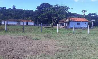 Imagem 2: Fazenda de 125 alqueires em Bom Jardim de Goias-Go