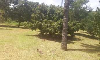 Imagem 2: Sitio aconchegante a margem do rio cipó com casa de dois andares!