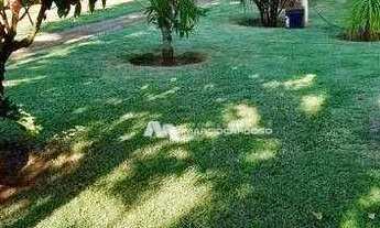 Imagem 6: Chácara com 3 dormitórios à venda, 1000 m² por R$ 380.000 - Estância São Carlos (Zona Rura