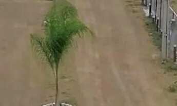 Imagem 4: Vendo Minichácaras Samambaia Norte