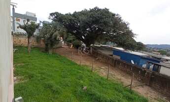 Imagem 5: Casa no bairro Belém Velho