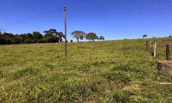 Imagem 4: Fazendinha 8 Alqueires Bela Vista