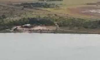 Imagem 4: Vendo chácara no de frente pro Lago Azul 25km de Boa Vista - Leia anuncio