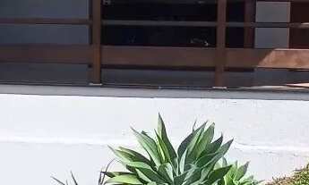 Imagem 3: CAXIAS DO SUL - Casa Padrão - COLINA SORRISO