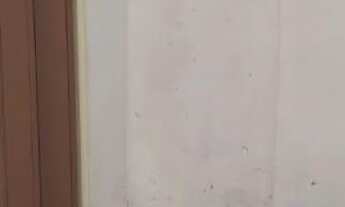 Imagem 7: Alugo casa na Pedreira lomas em vila 50 MTS da P Miranda