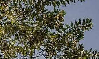 Imagem 5: Vendo terreno no Condomínio Vale dos Jardins