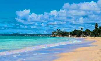 Imagem 2: Terreno em Maragogi 200m2 Loteamento Praia Dourada II