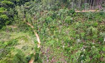 Imagem 3: Seu sítio com casa, córrego e lago, na região de Castelinho, Varge alta