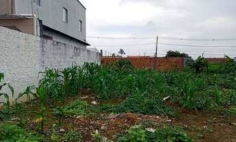 Imagem 4: Repasse no Nova Manaus