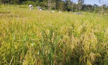 Imagem 2: Chácara próximo a Bonfinópolis