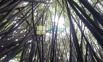 Imagem 7: Chácara com 3 dormitórios à venda, 2000 m² por R$ 1.800.000,00 - Santa Barbara (São Franci