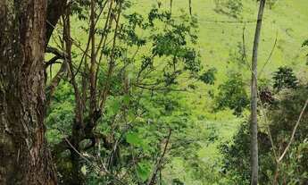 Imagem 3: Terreno 5x30 escritura e matrícula registrada em cartório