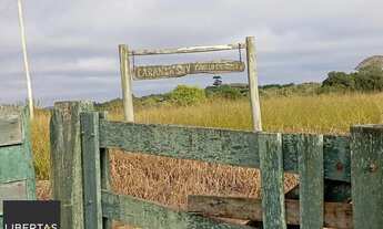 Imagem 3: Oportunidade única! Fazenda com 28 ha, desocupada à venda em Viamão, Rio Grande