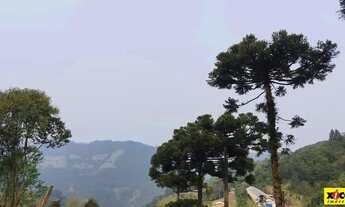 Imagem 5: Sítio / Chácara para Venda em Nova Petrópolis, Linha Olinda