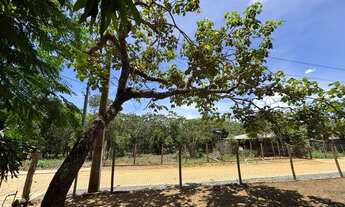 Imagem 5: Lote Com Casa Corumbá 4