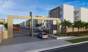 Imagem: Mata das Carnaúbas