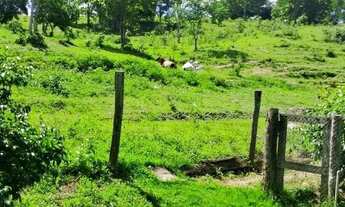 Imagem 5: FAZENDA NO MUNICÍPIO DE MARZAGAO 29 ALQUERES - MARZAGAO GO Caldas Novas - GO
