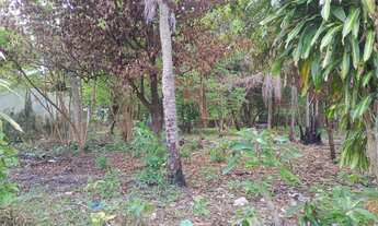 Imagem 5: SITIO NO MARACANÃ