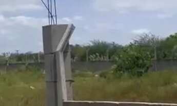 Imagem: Vendo ou troco Meia tarefa de terra em Magalhães