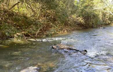 Imagem 3: Chácaras de 20mil mt com Rio passa quatro no fundo!