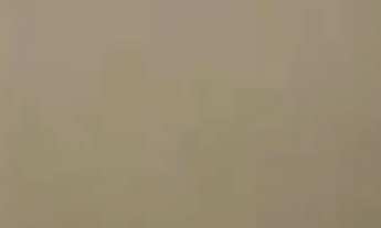 Imagem 5: Casa no jardim união