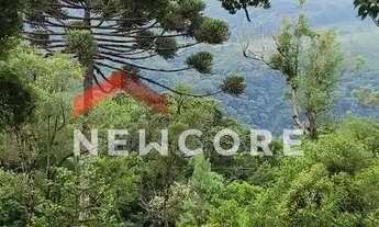 Imagem: Lote em Rua dos Pessegueiros - Campo do