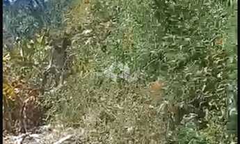 Imagem 2: VENDA Terreno com 1.080m² em ibiuna